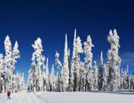 Обучение катанию на горных лыжах и сноуборде Где проходят занятия